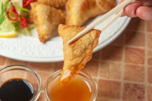 empanadas pollo mandarín chinas triangulares hecha con masa de harina de trigo fritas y rellenas con trozos de pollo y cebollín perfecto para acompañar platos como carne mongoliana shapsui y costillar de cerdo cantones